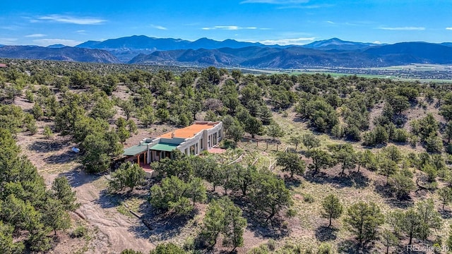 11855 County Road 251a, Salida, CO 81201 - view of mountain backdrop