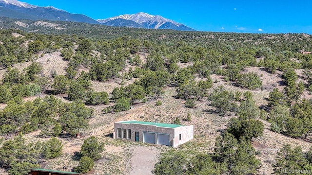 11855 County Road 251a, Salida, CO 81201 - view of mountain background featuring a forest