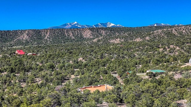11855 County Road 251a, Salida, CO 81201 - mountain view featuring a heavily wooded area