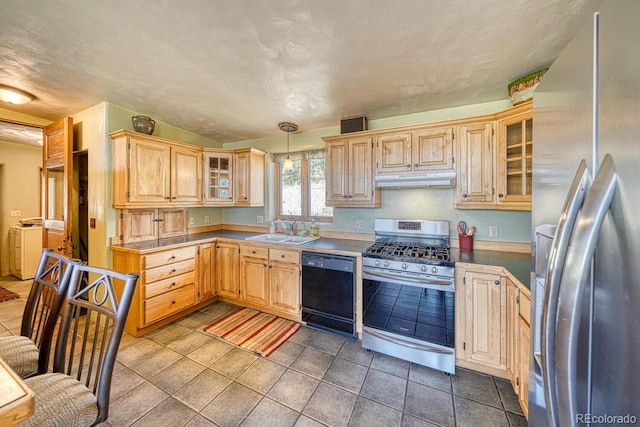 11855 County Road 251a, Salida, CO 81201 - kitchen with appliances with stainless steel finishes, under cabinet range hood, light brown cabinets, and glass insert cabinets