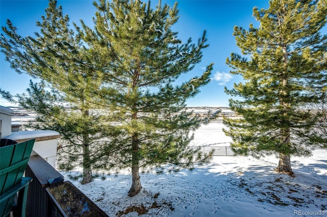 view of yard layered in snow