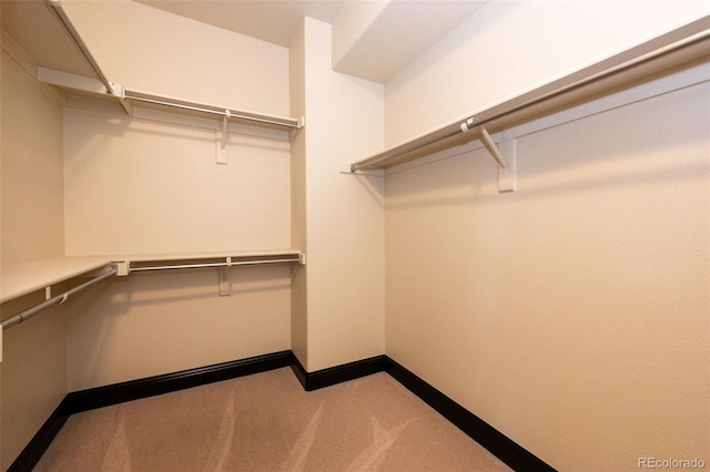 spacious closet with carpet floors