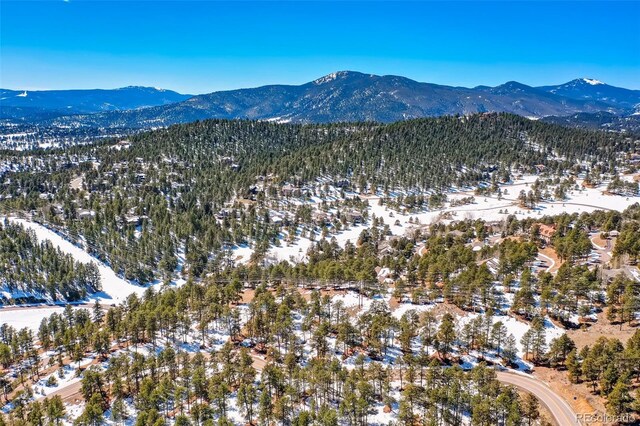1493 Pinedale Ranch Cir, Evergreen, CO 80439