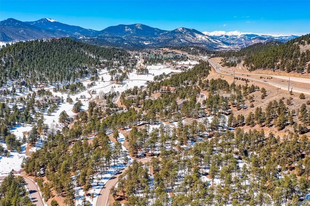 1493 Pinedale Ranch Cir, Evergreen, CO 80439