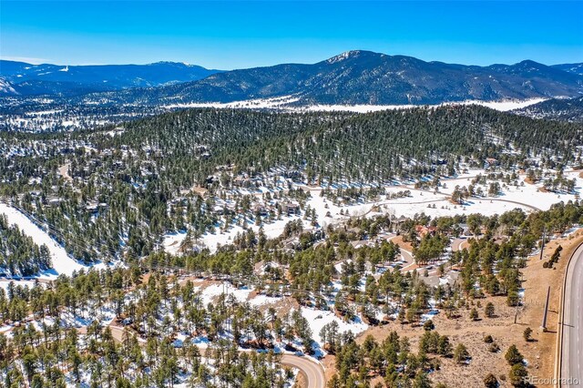 1493 Pinedale Ranch Cir, Evergreen, CO 80439