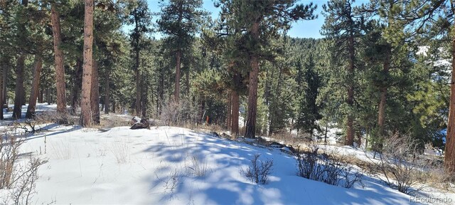 1493 Pinedale Ranch Cir, Evergreen, CO 80439