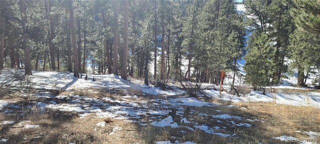 1493 Pinedale Ranch Cir, Evergreen, CO 80439