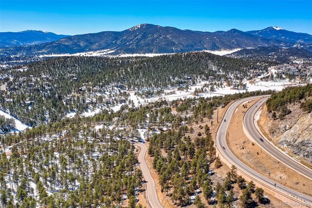 1493 Pinedale Ranch Cir, Evergreen, CO 80439