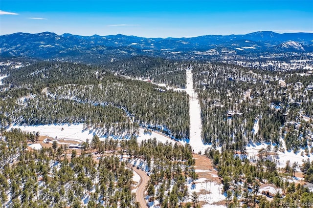 1493 Pinedale Ranch Cir, Evergreen, CO 80439