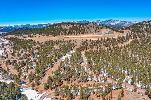 1493 Pinedale Ranch Cir, Evergreen, CO 80439