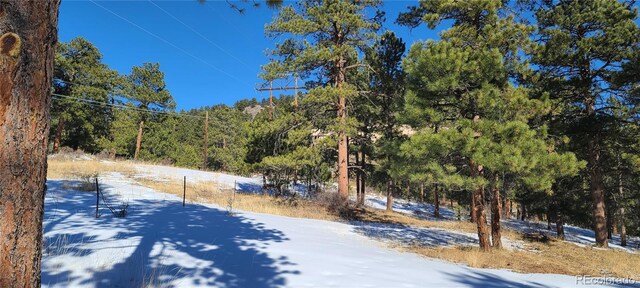 1493 Pinedale Ranch Cir, Evergreen, CO 80439