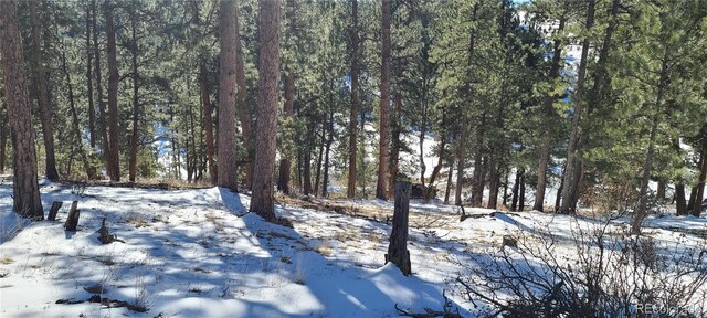 1493 Pinedale Ranch Cir, Evergreen, CO 80439