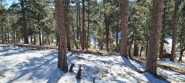 1493 Pinedale Ranch Cir, Evergreen, CO 80439