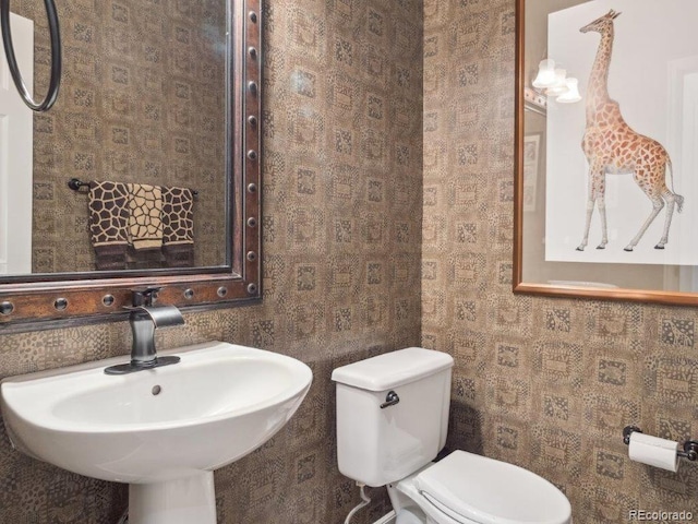 9531 Desert Willow Way, Highlands Ranch, CO 80129 - bathroom featuring a sink and toilet