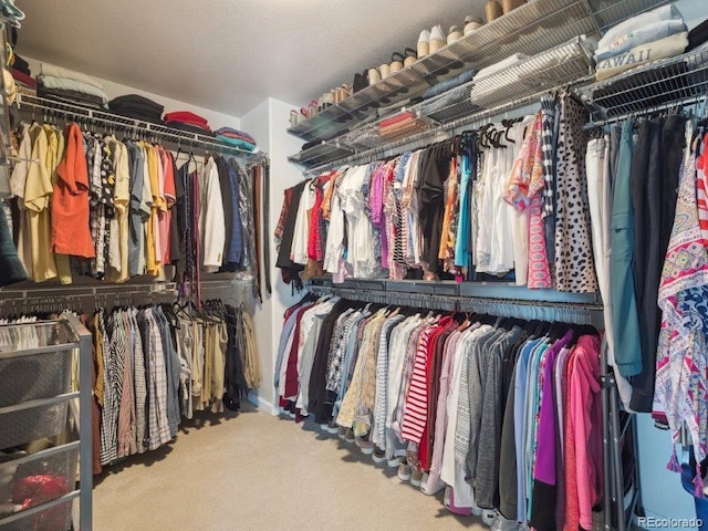 9531 Desert Willow Way, Highlands Ranch, CO 80129 - walk in closet with carpet flooring