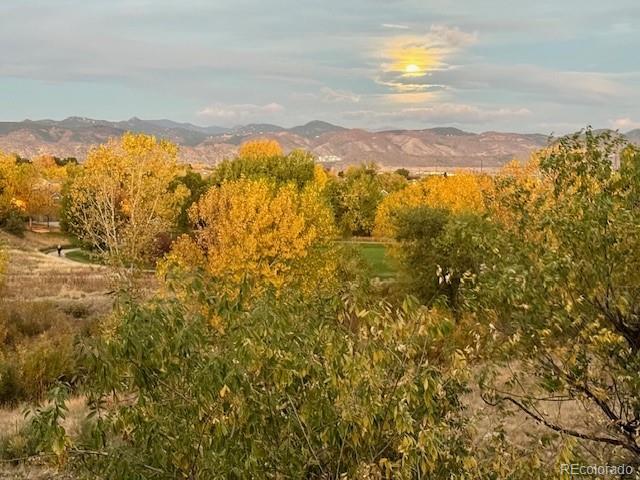 9531 Desert Willow Way, Highlands Ranch, CO 80129 - mountain view