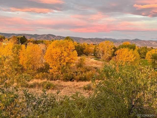 9531 Desert Willow Way, Highlands Ranch, CO 80129 - view of mountain backdrop