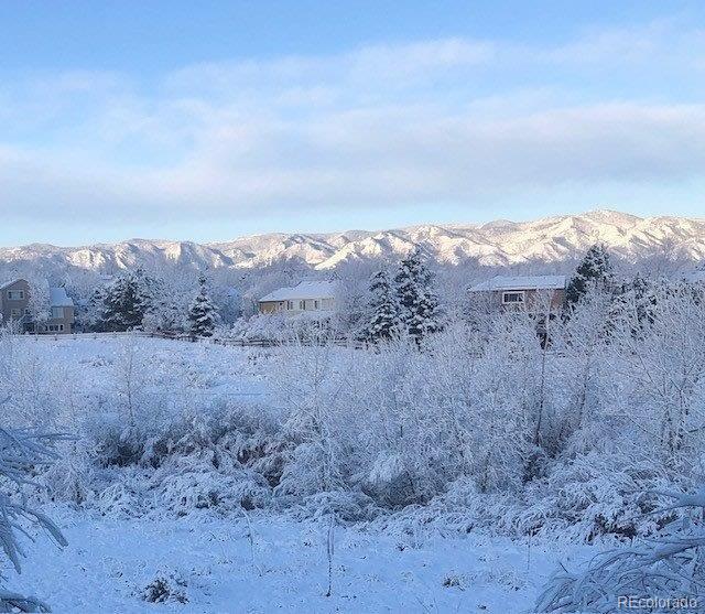 9531 Desert Willow Way, Highlands Ranch, CO 80129 - view of mountain background