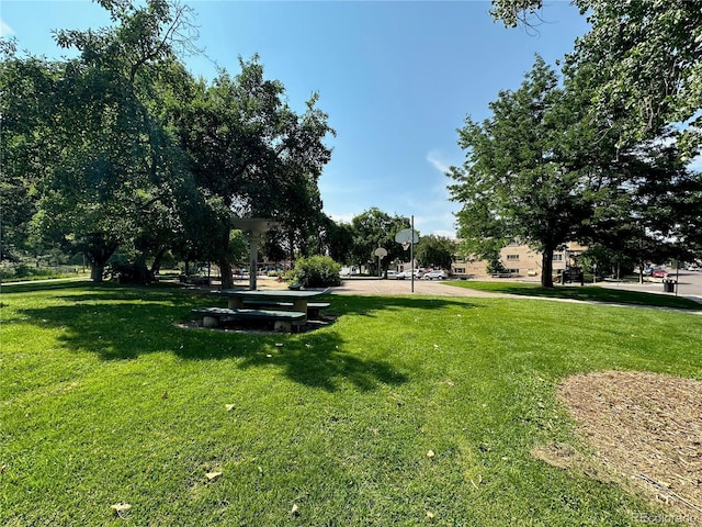 view of community featuring a lawn