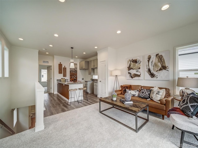 living room featuring dark hardwood / wood-style floors