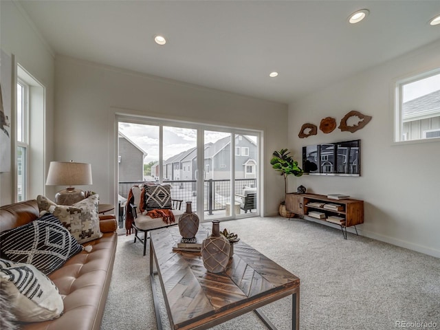 living room featuring carpet flooring