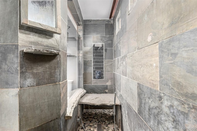 7579 Jay Ct, Arvada, CO 80003 - full bathroom featuring a tile shower