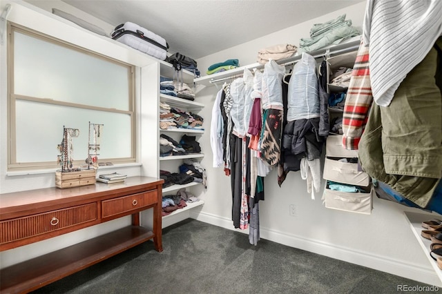 7579 Jay Ct, Arvada, CO 80003 - walk in closet featuring dark carpet