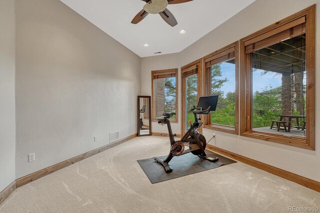 2597 Oak Vista Ct, Castle Rock, CO 80104 - photo 32