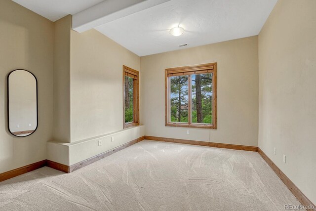 2597 Oak Vista Ct, Castle Rock, CO 80104 - photo 33