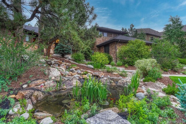 2597 Oak Vista Ct, Castle Rock, CO 80104 - photo 46