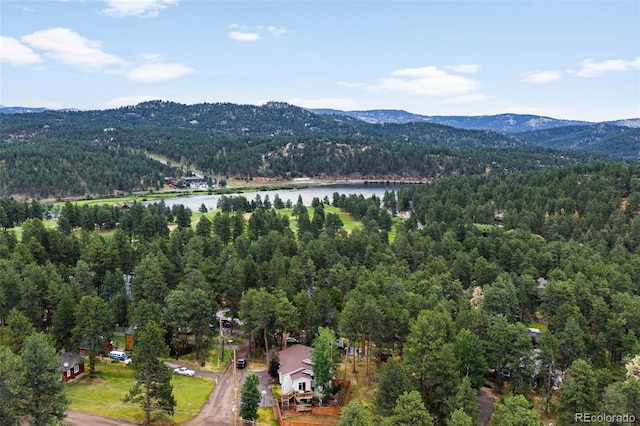 5000 Elizabeth Ln, Evergreen, CO 80439 - photo 27
