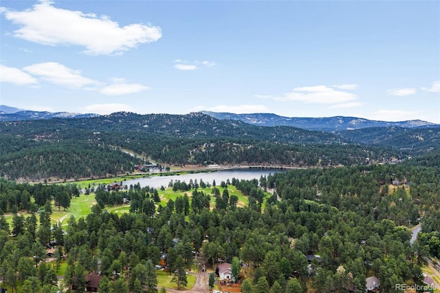 5000 Elizabeth Ln, Evergreen, CO 80439 - photo 28