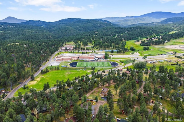 5000 Elizabeth Ln, Evergreen, CO 80439 - photo 29