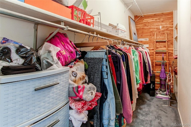 spacious closet featuring carpet