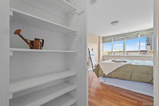 bedroom with wood-type flooring