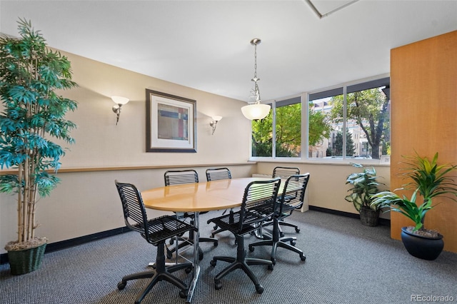 dining space featuring carpet