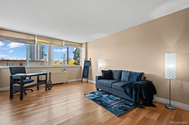 living room with radiator heating unit and light hardwood / wood-style flooring