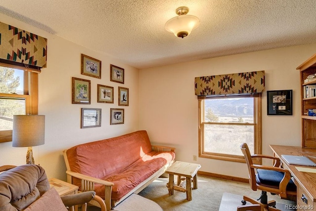 carpeted office space featuring plenty of natural light, a textured ceiling, and baseboards