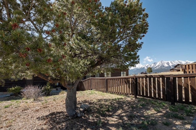view of yard featuring a mountain view and a fenced backyard