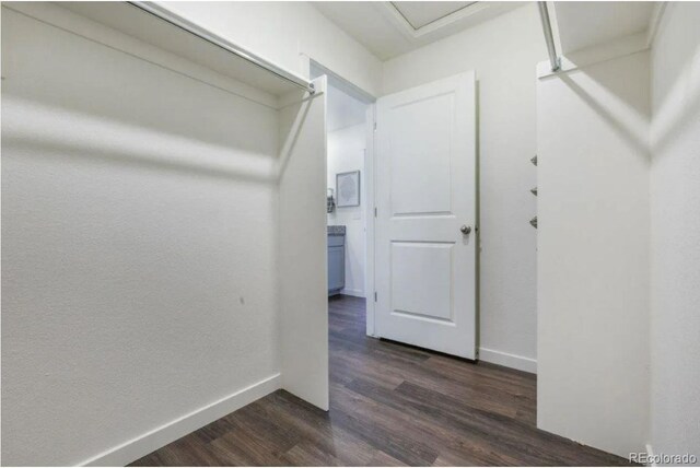 4991 Buelingo Dr, Windsor, CO 80528 - photo 12