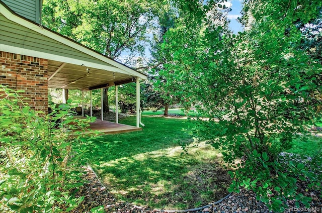 view of yard with a patio area