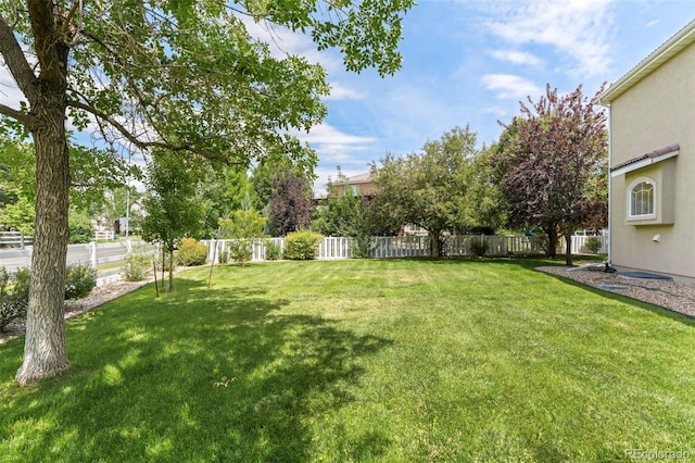 4805 W 116th Ln, Westminster, CO 80031 - photo 33