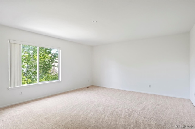 4805 W 116th Ln, Westminster, CO 80031 - photo 19
