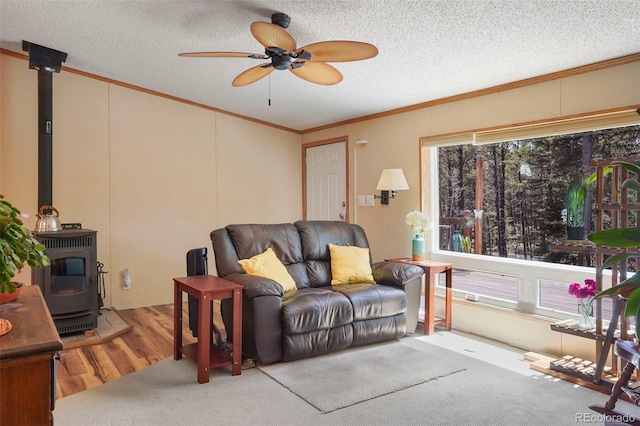 2450 Pathfinder Rd, Florissant, CO 80816 - photo 4