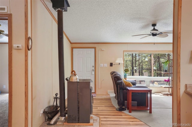 2450 Pathfinder Rd, Florissant, CO 80816 - photo 5