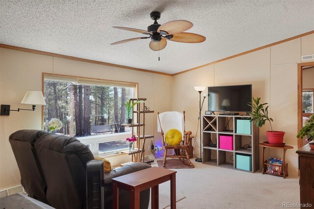 2450 Pathfinder Rd, Florissant, CO 80816 - photo 6