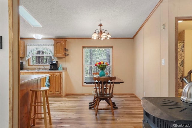 2450 Pathfinder Rd, Florissant, CO 80816 - photo 7