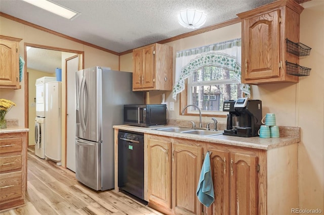 2450 Pathfinder Rd, Florissant, CO 80816 - photo 11
