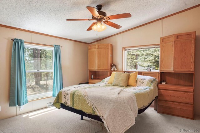 2450 Pathfinder Rd, Florissant, CO 80816 - photo 15