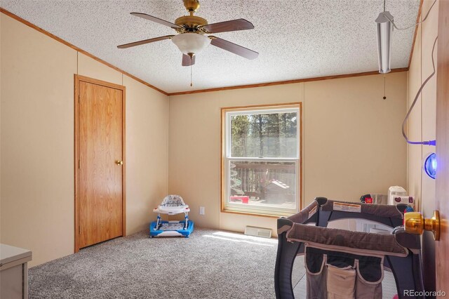 2450 Pathfinder Rd, Florissant, CO 80816 - photo 17